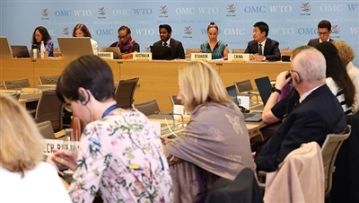 WTO Akan Mengkaji Kredit Cukai AS Di Bawah Akta Pengurangan Inflasi Berikutan...